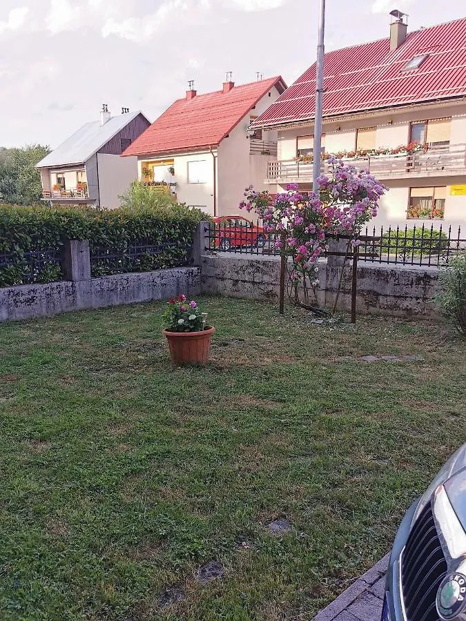 Apartments With A Parking Space Delnice, Gorski Kotar - 20247